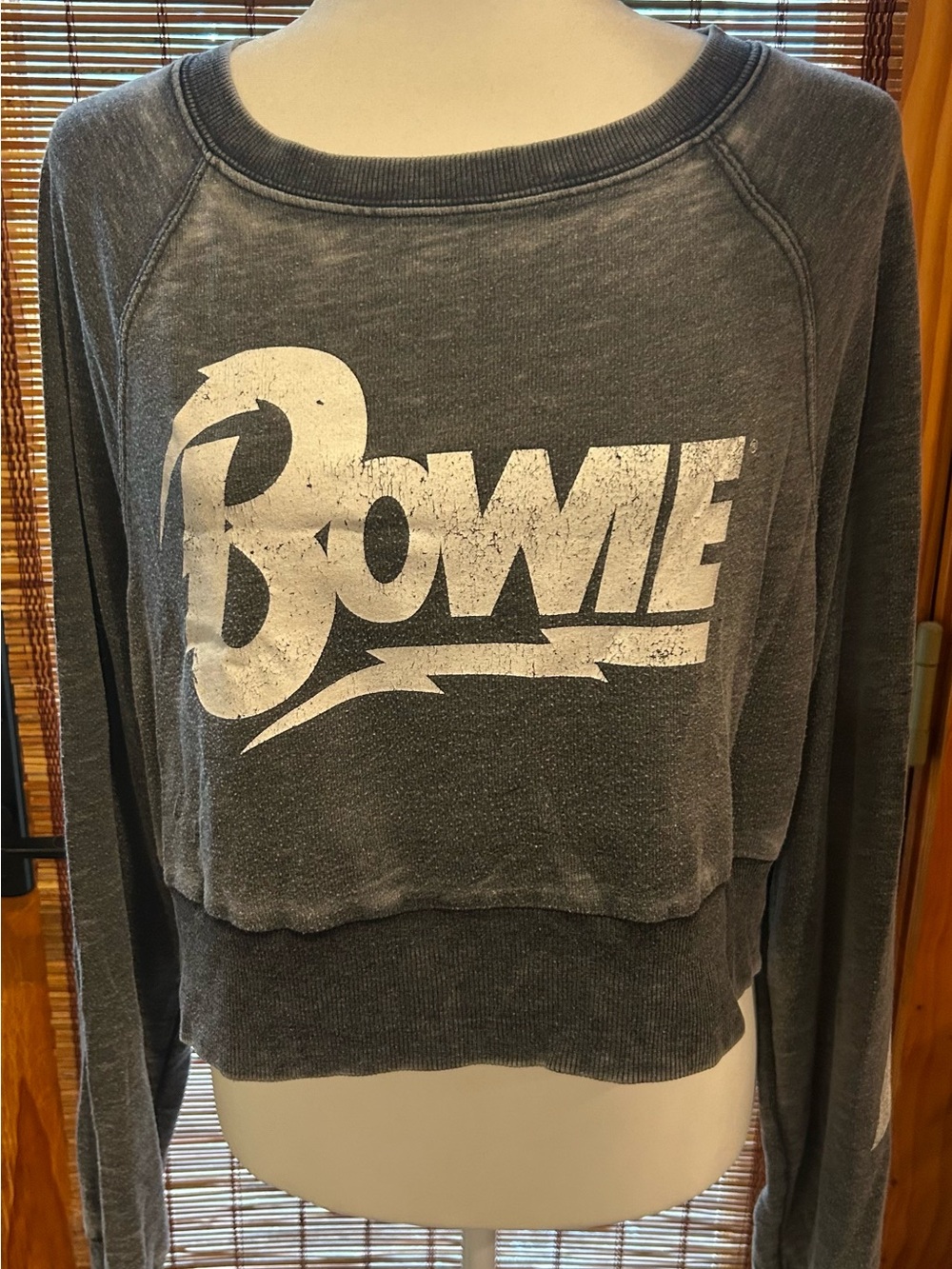 Recycled Karma Distressed Charcoal Bowie Logo Cropped Sweatshirt